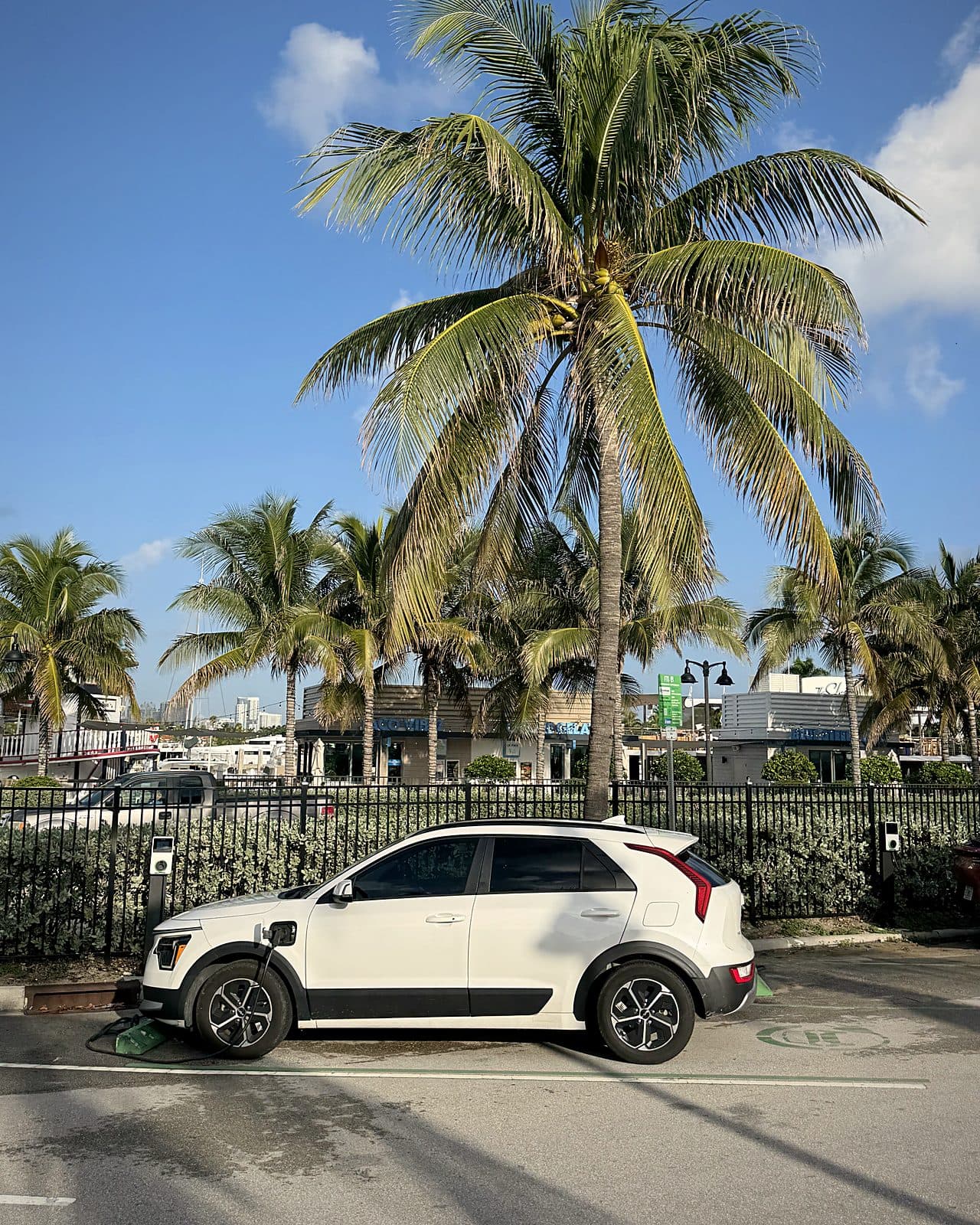 Beachside US Supercharge Level 2 charger under palm trees